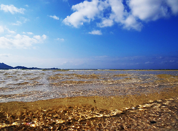 沖縄 石垣島 米原